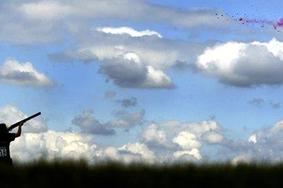 Žniderčič v boj za finale