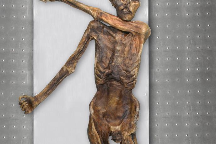 Ötzi | Raziskovalci pravijo, da je tehnologija od prve študije napredovala in da so v celoti dekodirali veliko več genomov drugih prazgodovinskih Evropejcev. | Foto Guliverimage