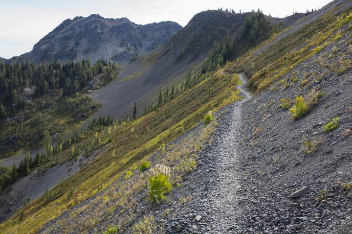 PCT | Pacifiška pešpot v dolžini 4.265 kilometrov po zahodnem goratem delu ZDA | Foto Guliverimage