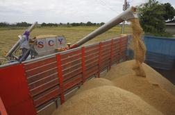 Ekološke in varčne avtomobilske gume iz ostankov riža