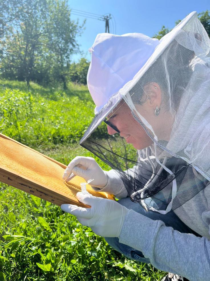 Delo s čebelami ju zelo veseli.  | Foto: Osebni arhiv