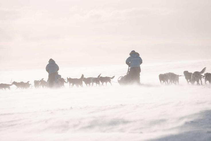 FJR_2025_Polar_207729_1200 | Foto: Fjällräven