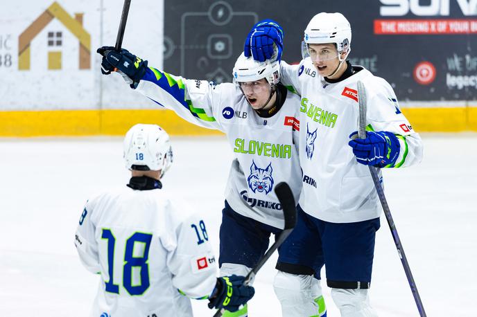 slovenska hokejska reprezentanca | V prodaji so že prvi paketi vstopnic za SP 2026, na katerem bodo igrali tudi naši risi. | Foto Jure Banfi
