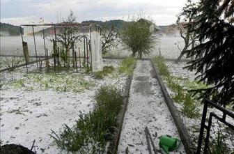 KGZS bo oškodovanim kmetom odpisala zbornični prispevek