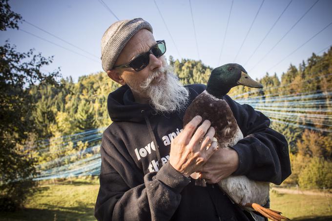 "Vedno želim osebni stik z ljudmi, ki moje pridelke uporabljajo, zanima me, kaj bodo z njimi storili. Zame je pomembno, da se uporabi vse, cela žival, da se zavrže kar se da malo." | Foto: Matej Leskovšek