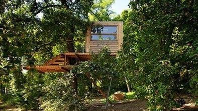 Najlepše hišice na drevesu