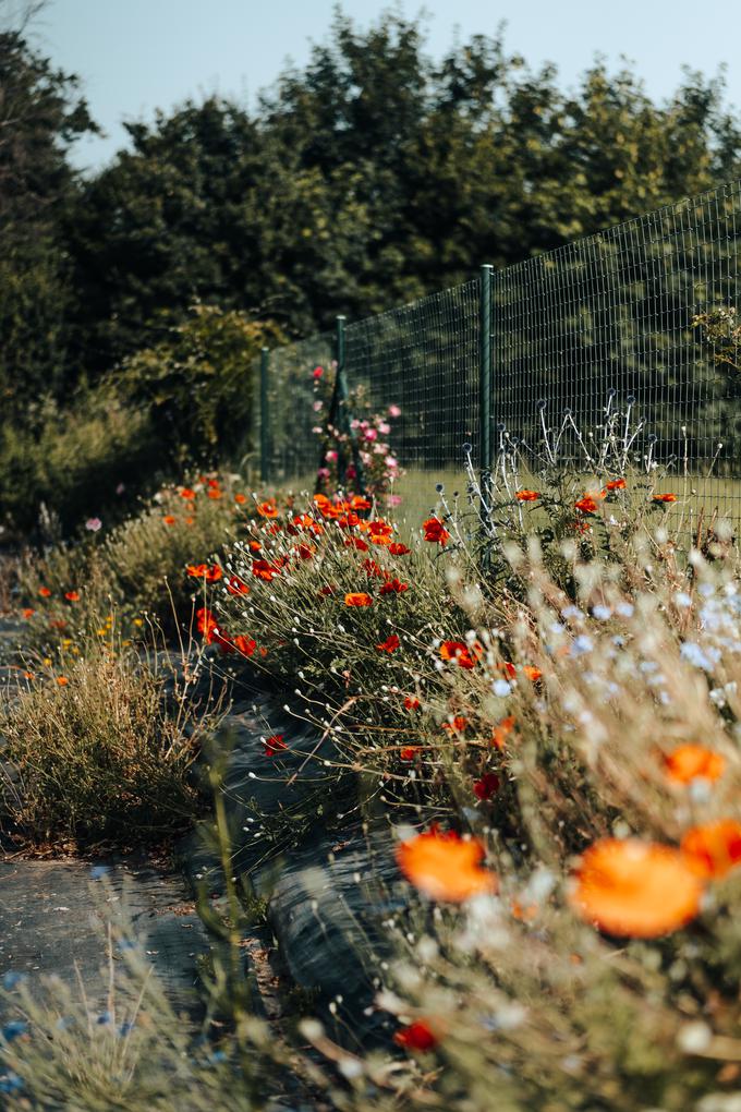 Z zanimivi dodatki lahko vrtu dodamo svojo osebno noto. | Foto: Vrtnarstvo Tement