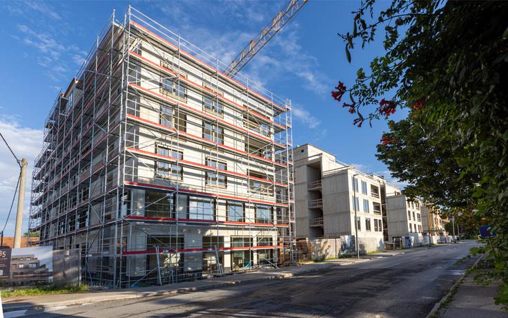 Bežigrajska petka, avgust 2025 | Foto: SINDROM D.O.O.