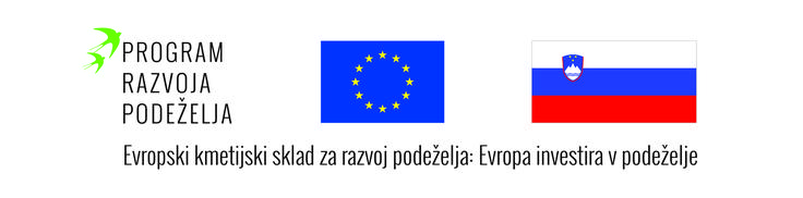 kviz | Foto: 