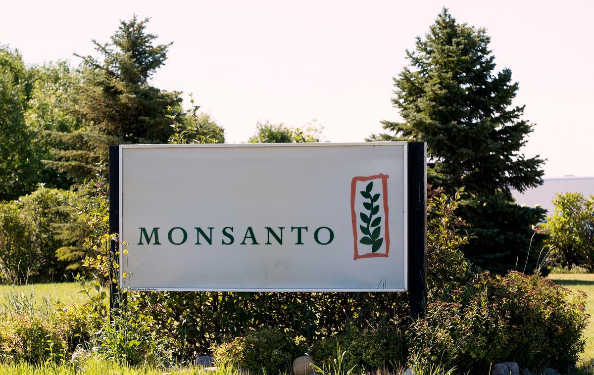 Monsanto glifosat Roundup herbicid