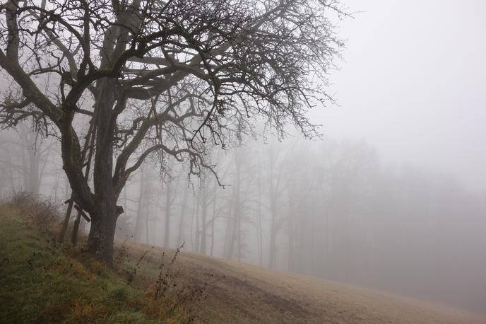 deževno, megleno vreme | Foto Shutterstock