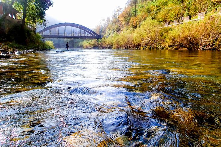 Slovenske reke so med tujimi ribiči zelo znane. Če kdo med njimi še ni slišal za reke, kot so Soča, Idrijca ali Unica, je v muharjenju prav gotovo šele začetnik. (foto: Urban Šlabnik) | Foto: 
