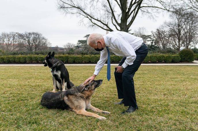 Biden | Commander (Poveljnik) se je v Belo hišo vselil leta 2021. | Foto Guliverimage