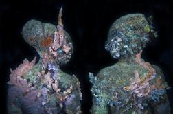 Prvi podvodni muzej na svetu (foto)