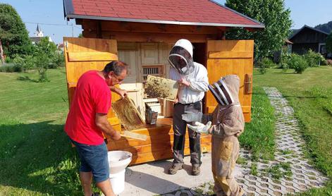 Novi učni čebelnjaki bodo pomladi razveselili nove osnovnošolce