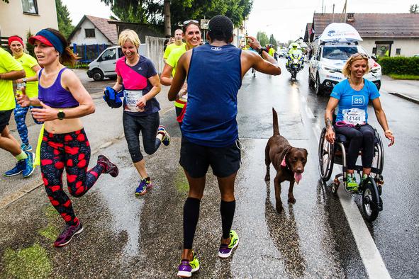 Vse, kar morate vedeti o slovenskem delu teka Wings For Life World Run