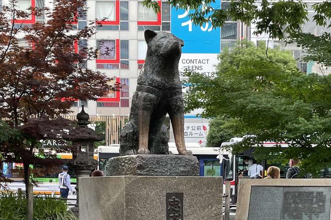 Spomenik pasmi akita inu na Japonskem.  | Foto: Shutterstock