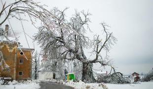 Rdeči alarm za severozahod Slovenije, nevaren žled spet v noči na sredo (foto in video)