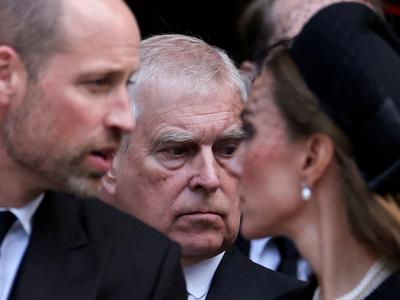 Leden odnos princev Williama in Andrewa