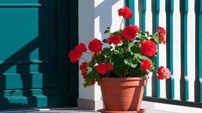 Nasveti za osvežitev doma