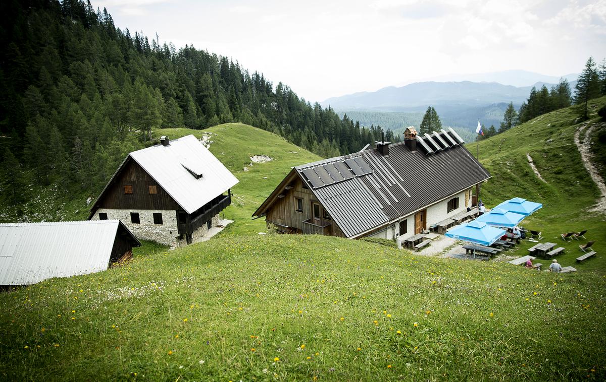 Blejska koča/Oskrbnik