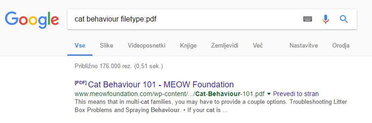 Google iskanje | Foto: Matic Tomšič