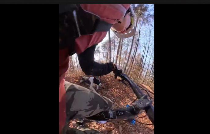 Slovenski športnik je doživel napad v gozdu #video