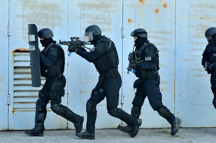 Specialna enota | Posredovati so morali policisti specialne enote policije.  | Foto STA