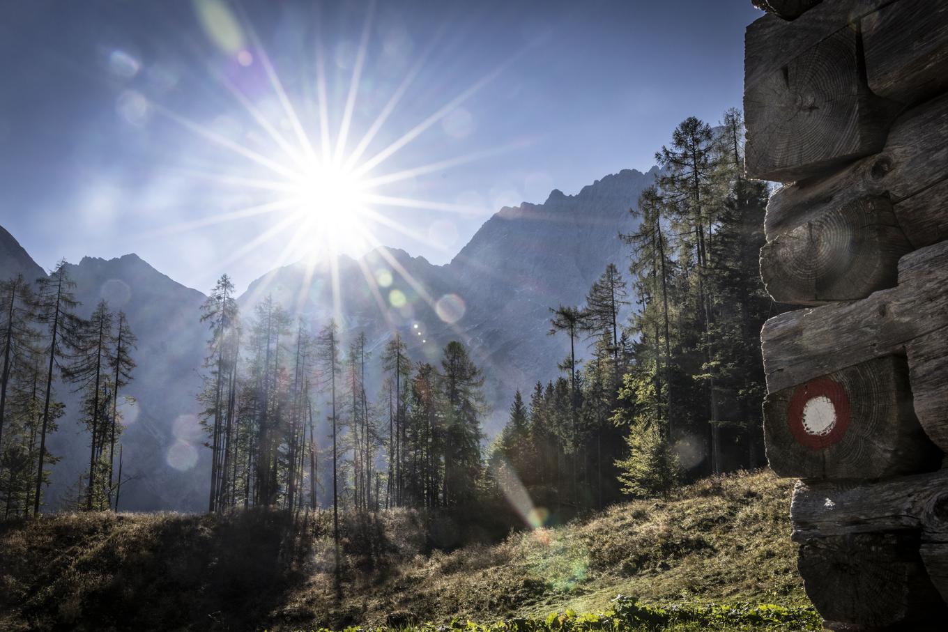 Stularjeva planina | Foto de : Bojan Puhek