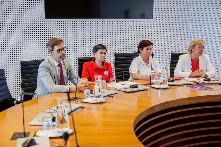 Generalna sekretarka Rdečega križa Slovenije Cvetka Tomin je v izjavi za medije dejala, da gre za 1700 družin v najnižjem dohodkovnem razredu, ki bi jim z dvigom olajšali vsakodnevne stiske. | Foto: Nebojša Tejić/STA