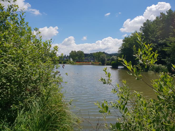 Gojišče za komarje lahko postanejo nepravilno pokriti zbiralniki za deževnico, pa slabo vzdrževani bazeni, ribniki in druge vodne površine.  | Foto: STA