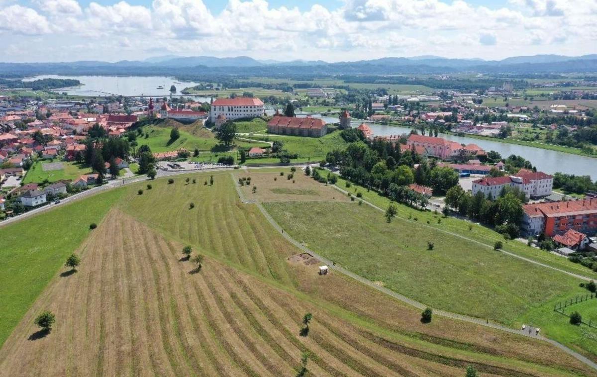 Ptuj | Foto STA