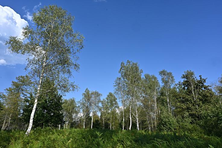 Bela krajina | Foto: Getty Images