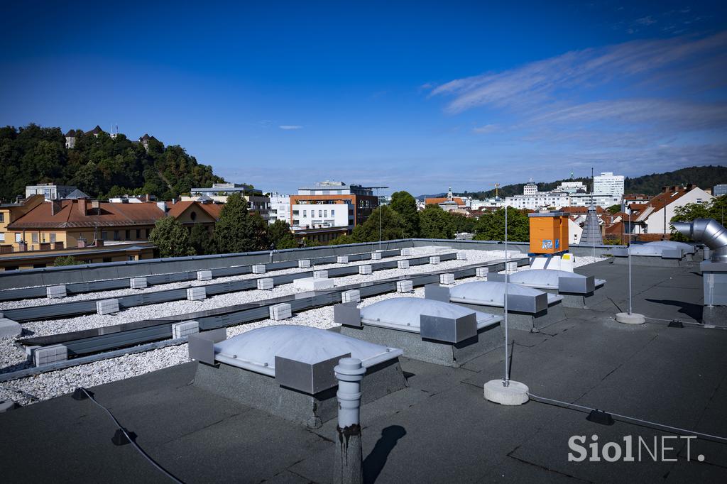 Urbani čebelar Ljubljana