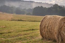 Velika gmotna škoda po kurjenju neuporabnih bal sena