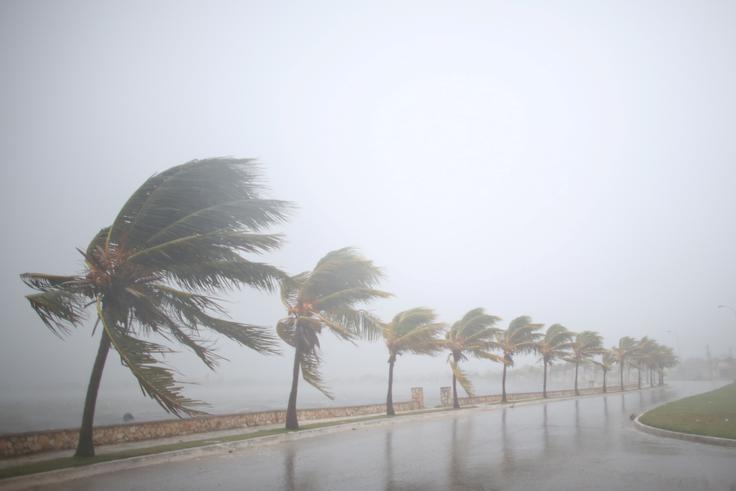Irma Kuba | Foto: Reuters