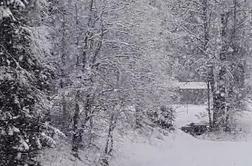Obilno sneženje v tem delu Slovenije, pričakujejo 20 centimetrov snega #video