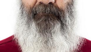 Lažne novice, kako si morajo poslanci urediti brade