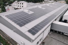 Elektriko so prodajali za 52 evrov. Mesec pozneje že za 176 evrov.