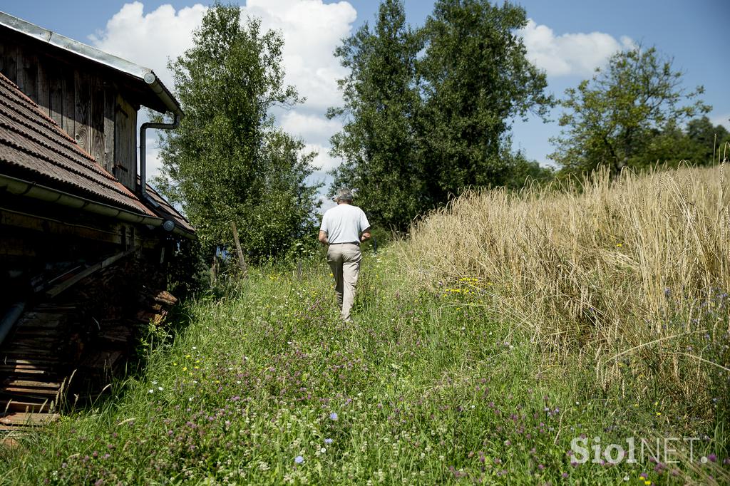 Turistična ekološka kmetija Čemas Vinica Zilje Bela Krajina Kolpa