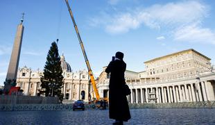 V Vatikanu postavili božično drevo #foto