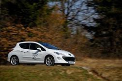 Peugeot 308 feline