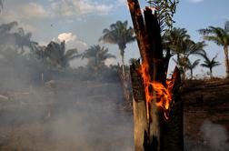 Požari v Amazoniji: Bolsonaro začasno prepovedal kurjenje v naravi