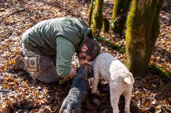 Najdragocenejši okus jeseni – beli tartuf