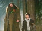 Hagrid, Harry Potter