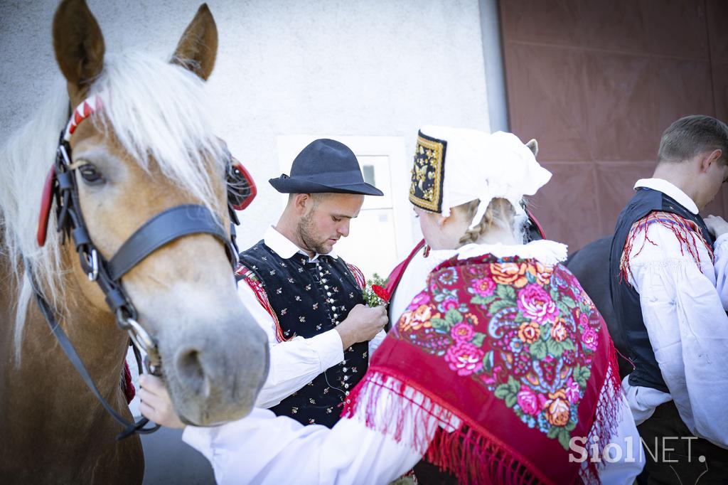 Posavsko štehvanje