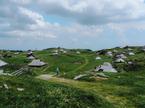 Viki Lešnjak Velika planina