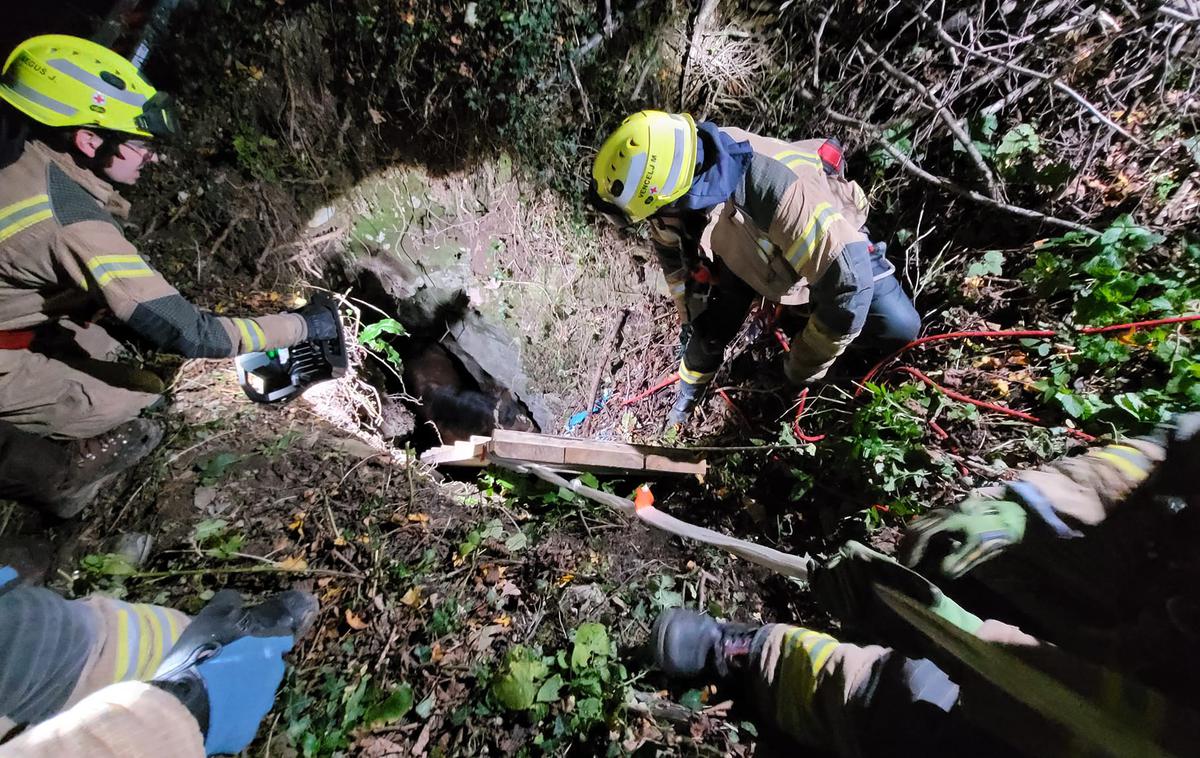 Tolminski konj | Pri reševanju so uporabili vrvno tehniko.  | Foto PGD Tolmin/FB