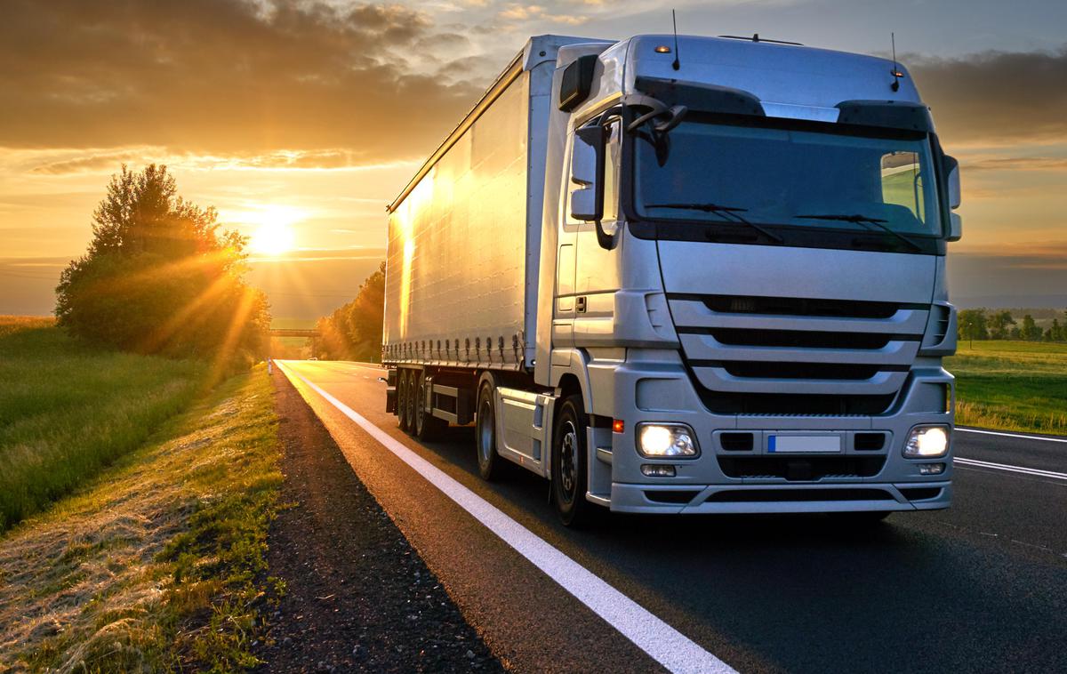 tovornjak | Sistem bo zaznal maso vozila, prek kamere bo preveril registrsko oznako in nato trenutno maso primerjal z največjo dovoljeno maso tega registriranega tovornjaka.  | Foto Getty Images