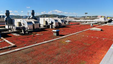 Citypark z vegetacijsko zasaditvijo strehe za boljšo mikroklimo